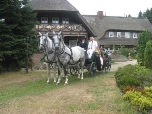 Undeloher Hof Extérieur photo